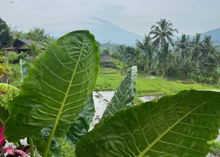 Embun Pagi And * Sidemen (Bali)