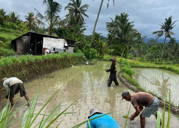 Privatunterkunft Embun Pagi And Sidemen (Bali)